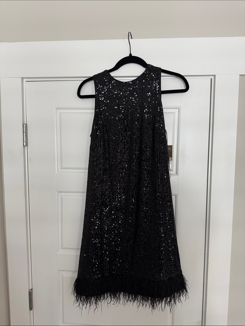 Taylor Black Sequin Mini Dress with Feather Hem
